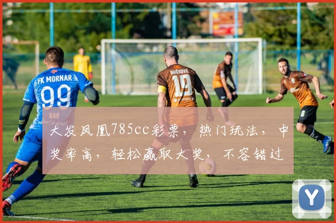 大发凤凰785cc彩票，热门玩法，中奖率高，轻松赢取大奖，不容错过