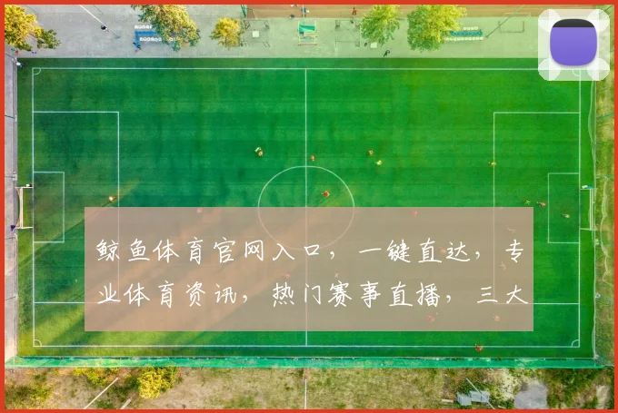 鲸鱼体育官网入口，一键直达，专业体育资讯，热门赛事直播，三大优势汇聚，不容错过