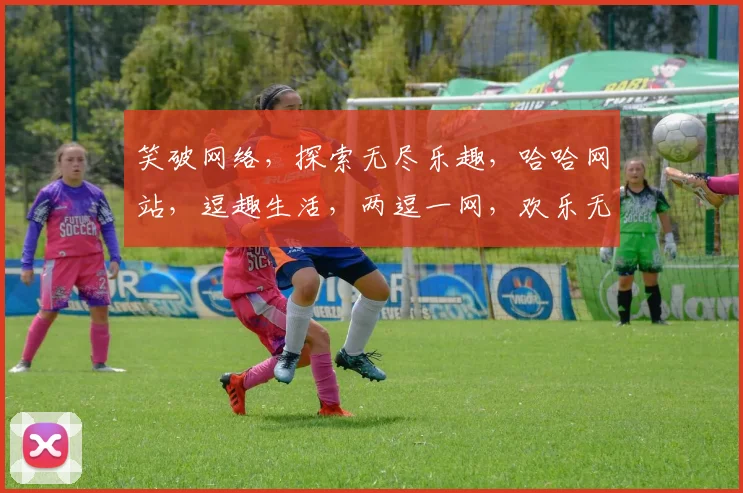笑破网络，探索无尽乐趣，哈哈网站，逗趣生活，两逗一网，欢乐无限