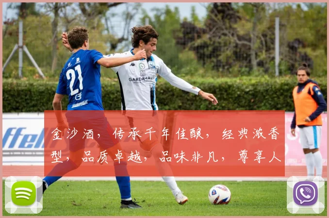 金沙酒，传承千年佳酿，经典浓香型，品质卓越，品味非凡，尊享人生，尽在每一滴。