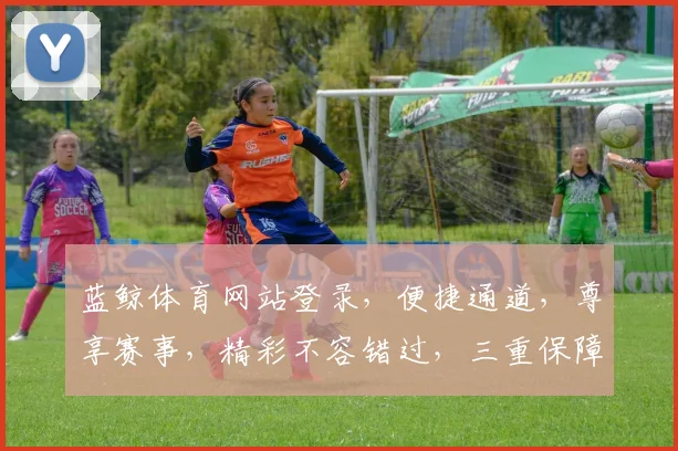 蓝鲸体育网站登录，便捷通道，尊享赛事，精彩不容错过，三重保障，安全无忧