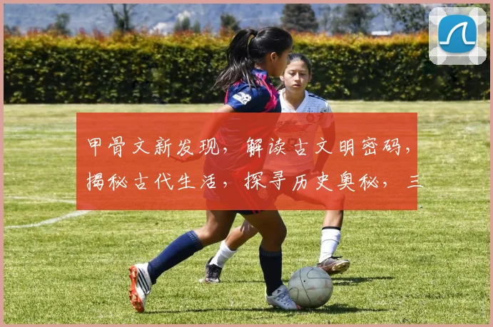 甲骨文新发现，解读古文明密码，揭秘古代生活，探寻历史奥秘，三重惊喜等你来